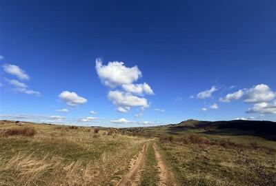 Comision 0% Oportunitate investitie teren extravilan  Salicea - 7