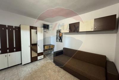 Apartament cu 1 camere de inchiriat in zona Central Apartament cu 1 camere de inchiriat in zona Central - 4