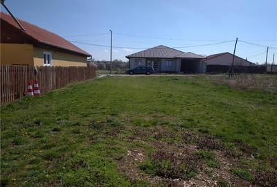 Teren de 1200 mp, în Frumușeni - 1