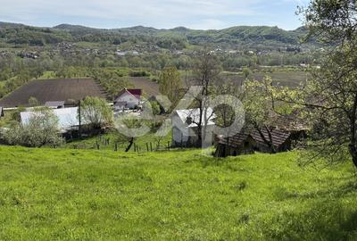 Teren Construcții intravilan de 14613 mp, în Bârseștii de Sus - 5