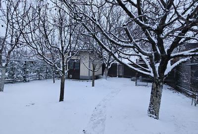 Casă cu 5 camere cu Teren 735 Mp în Vladimirescu - 10