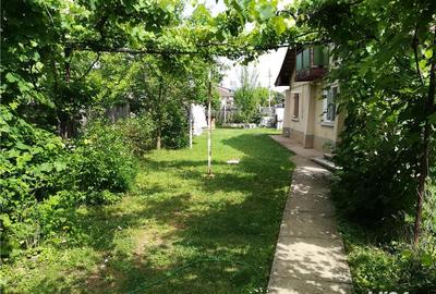 Casă cu 2 camere cu Teren 700 Mp în Câmpina - 10