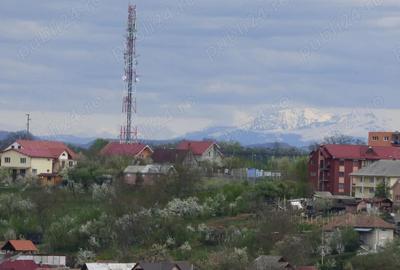 Apartament cu 2 camere decomandat în Vest - 5