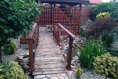 Casă individuală cu 3 camere cu Teren 3621 Mp în Mihăești - 9