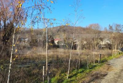 Teren de 738 mp, în Central - 3