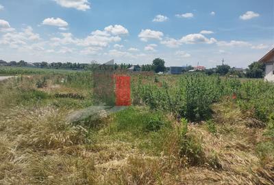 Teren agricol intravilan de 727 mp, în Dobreni - 4