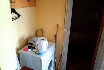 Apartament cu 3 camere decomandat în Exercițiu