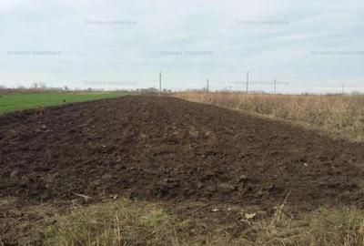 Teren intravilan de 3000 mp, în Chiscani - 2