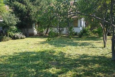 Casă cu 4 camere cu Teren 1600 Mp în Orțișoara - 3