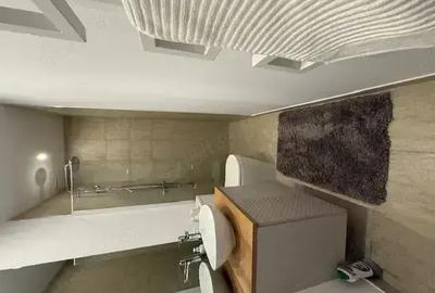 Casa familiala Muscel - 9