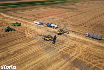 Teren de 5000000 mp, în Slobozia Ciorăști - 10