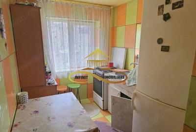 Casa de vanzare cu 5000 mp teren in Parincea cu livada si iaz - 9