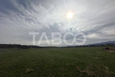 Teren 23.486 mp, deschidere 80 m, ideal comercial/industrial - 3