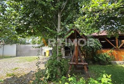 Pensiune 9 camere Rasnov - 53