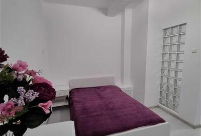 2 camere, Calea Victoriei x Ion Campineanu | terasa mare - 4