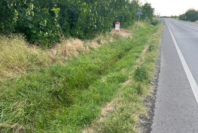 Teren de 6300 mp, în Est - 2