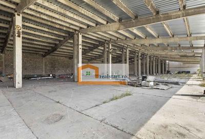 Codlea, Depozite si teren 1,7Ha, 5600mp cladiri, D 155ml ... - 10