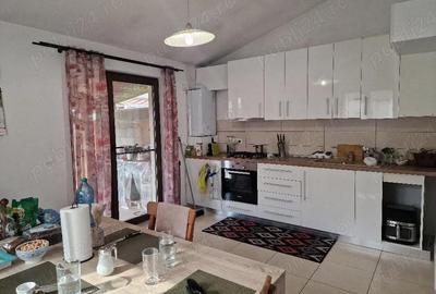 Casă cu 1 camere cu Teren 350 Mp în Dumbrăvița - 3