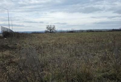 Spațiu comercial, în Mihail Kogălniceanu