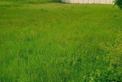 Spațiu comercial, în Cărpiniș - 5