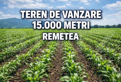 Teren în Remetea Mare - 1