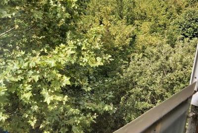 Apartament 3 camere 2 balcoane Berceni -Emil Racovita - 9