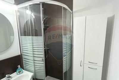 Apartament cu 1 camera de inchiriat in Micalaca - 3