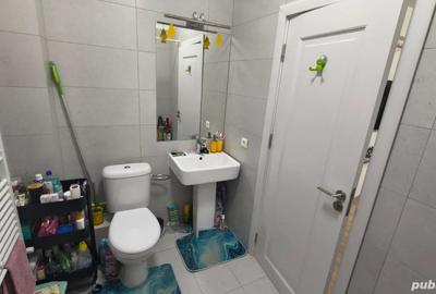 De vanzare studio - Tunari - 5