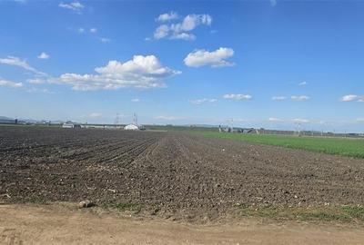 FILM! Teren intravilan, 10.000 mp, Grivitei, Brasov - 11