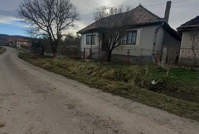 Casă cu 4 camere în Exterior Vest - 3
