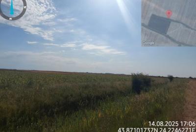 Teren de 2500 mp, în Amărăști - 1