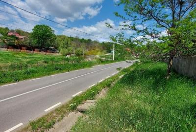 Teren intravilan 1490 MP Bratuleni Miroslava - 1