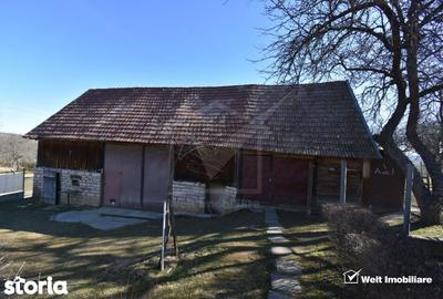 Teren de 800 mp, în Mănăstireni - 3