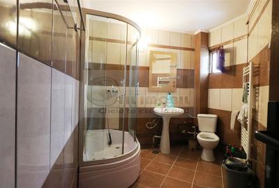 APARTAMENT 2 CAMERE DECOMANDAT PODU DE FIER UMF - 4