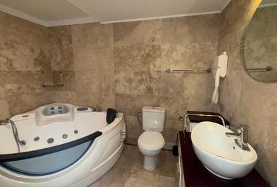 Apartament cu 3 camere decomandat, mobilat în Herăstrău - 18