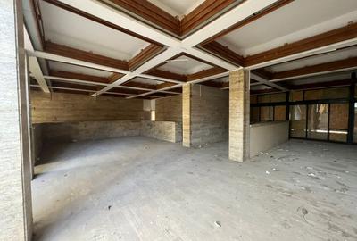 VENUS | MERA RESORT | SPATIU COMERCIAL - 2