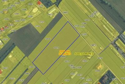 Teren Construcții intravilan de 13000 mp, în Sântana de Mureș - 3