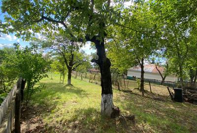 Casă cu 4 camere în Ciortești - 4