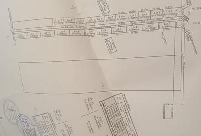 Teren de 500 mp, în Brestei - 2