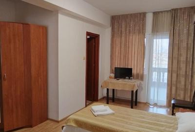 Proprietate impresionantă Snagov | rezidență, pensiune sau sediu firma - 24