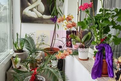 Soseaua Pantelimon, sector 2 - 8