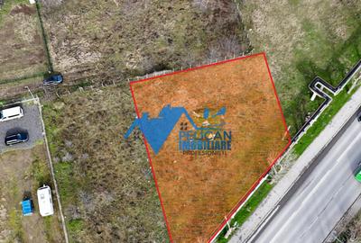 Teren intravilan - Str. Isaccei, 1000MP - 2