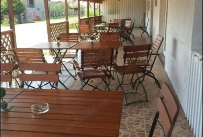 Inchiriez spatiu comercial in buzias - 2