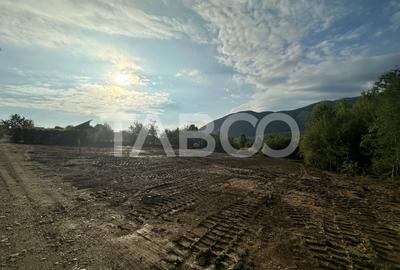 Teren intravilan 2039 mp de vanzare cu PUZ in Cisnadioara Sibiu - 3