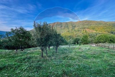 Teren 1812 mp de vanzare | Muntele Rece, cadru linistit, Comision 0% - 4