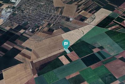 Teren arabil de 4,4Ha în Șimand - 3