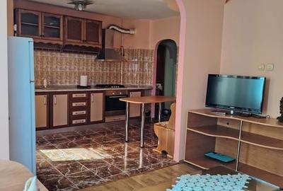 Apartament cu 2 camere decomandat în Craiovița Nouă - 5