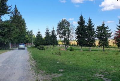 Teren Construcții de 10800 mp, în Beliș - 5