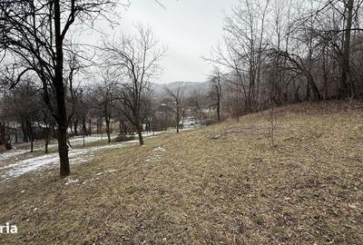 Teren de 4652 mp, în Șotrile - 4