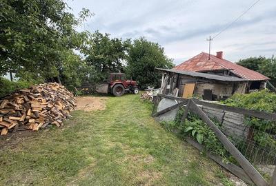 Teren de 2600 mp, în Șerbăuți - 5